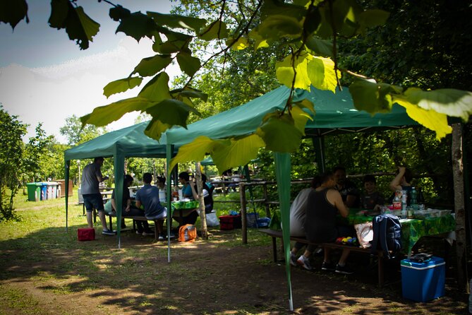 Picnic Area With Barbecue Equipment in Capranica (Vt) - Operating Hours