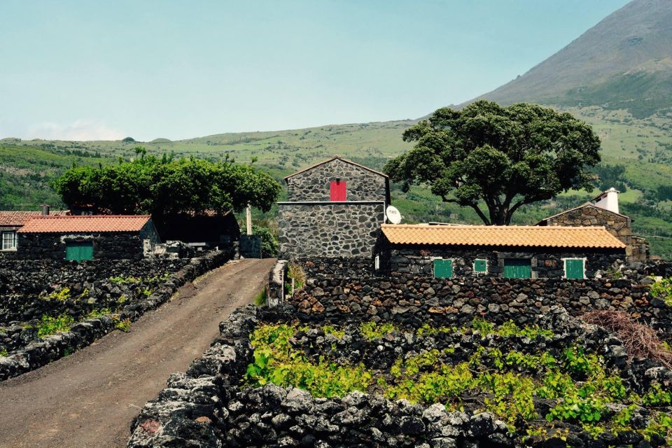 Pico, Azores: Highlights Tour With Wine Tasting and Picnic - Itinerary Highlights