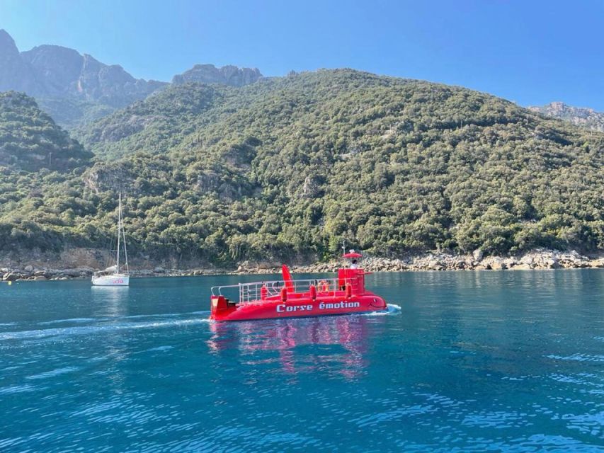 Porto: Discovery of the Marine Fauna and Flora/Bay of Porto - Diverse Marine Ecosystems