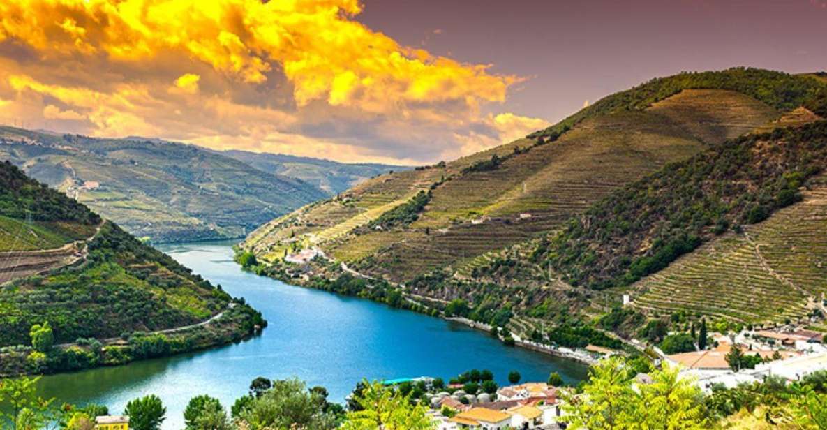 Porto: Douro Valley Private Full-Day Tour - Tour Highlights