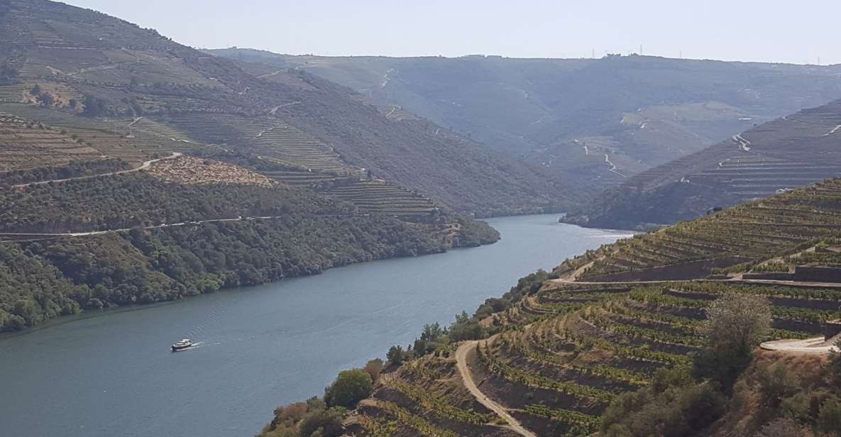 Porto: Douro Valley Tour With Winery Tasting, Cruise & Lunch - Pickup and Drop-off