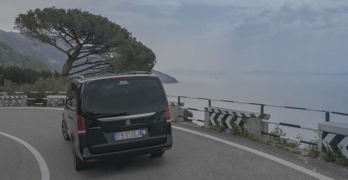 Positano: Private Transfer To/From Rome & Pompeii Ruins - Vehicle and Driver Details