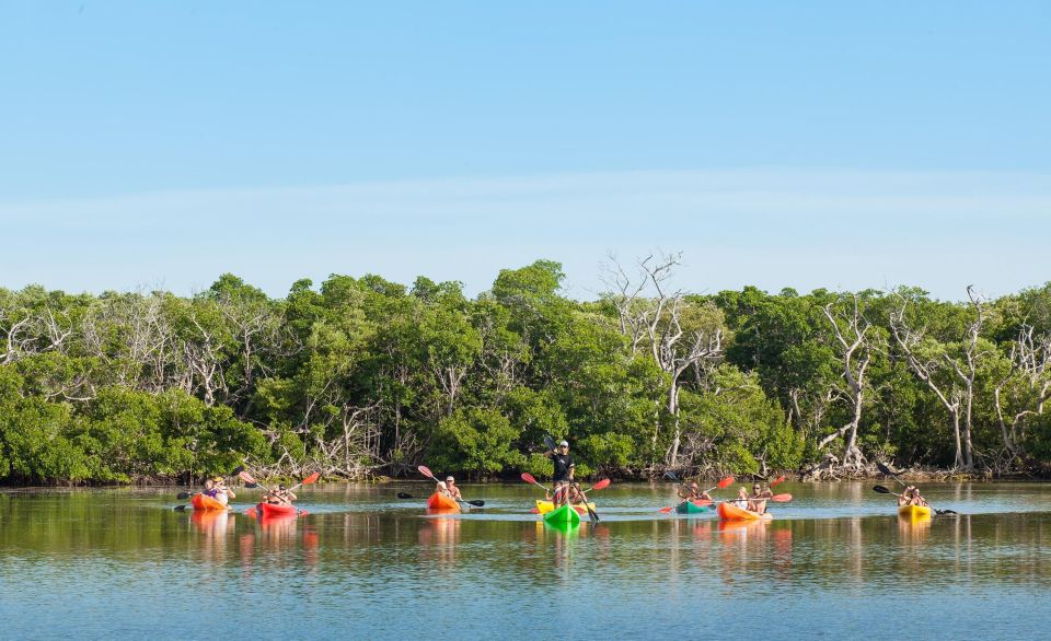 Premium Day Sail, Snorkel &, Kayak With Lunch - Included in the Package