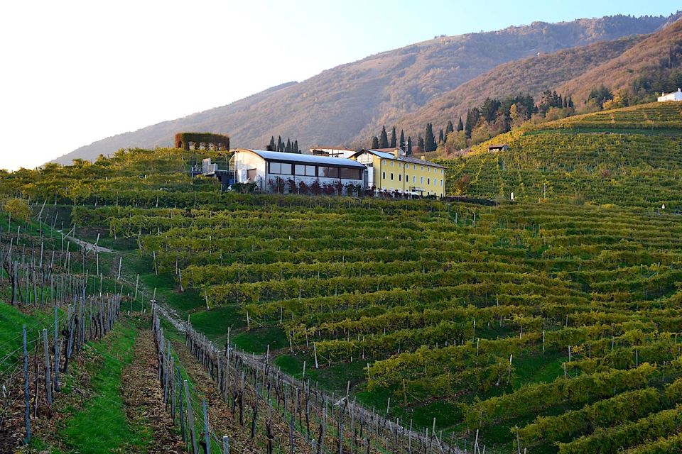 Private 7-Hour Prosecco Wine Tour From Venice - Scenic Drive Through Vineyards