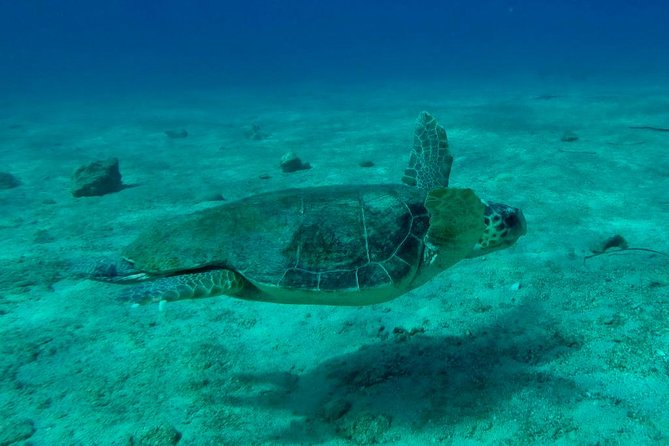 Private Boat Tour to Kekova and Sunken City From Antalya Incl.Transfer - Transportation and Pickup