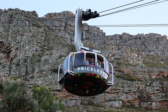 Private Cape of Good Hope Tour With Table Mountain Ticket Including Park Fees - Pickup and Drop-off