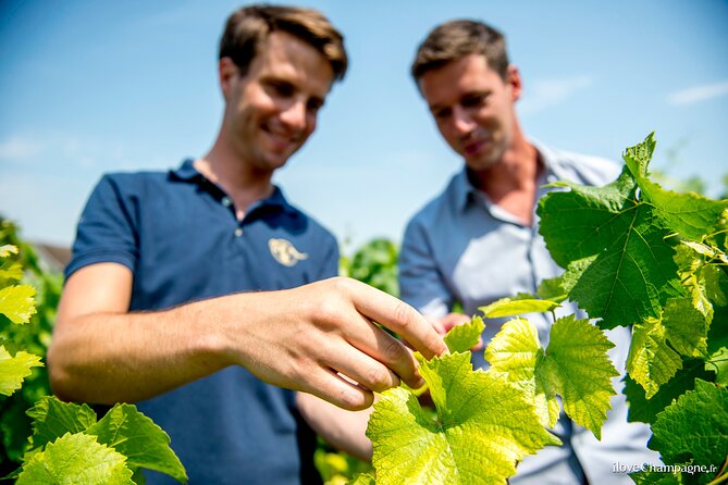 Private Champagne Tour, Family Growers and Lunch - Visit the Church of Dom Pérignon