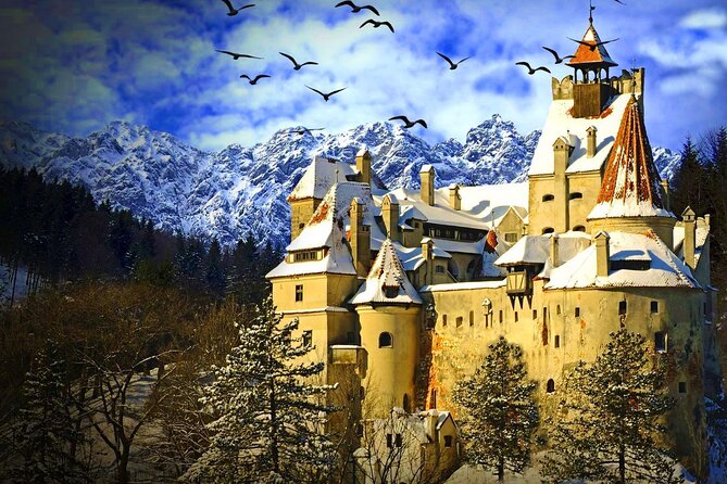 Private Day Trip to Transylvania: Dracula Castle, Royal Palace, Brasov Old Town - Exploring Peles Castle