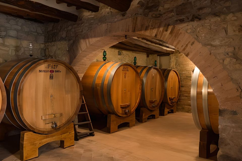 Private Full-Day Brunello Wine Tour of Montalcino - Highlights of the Tour