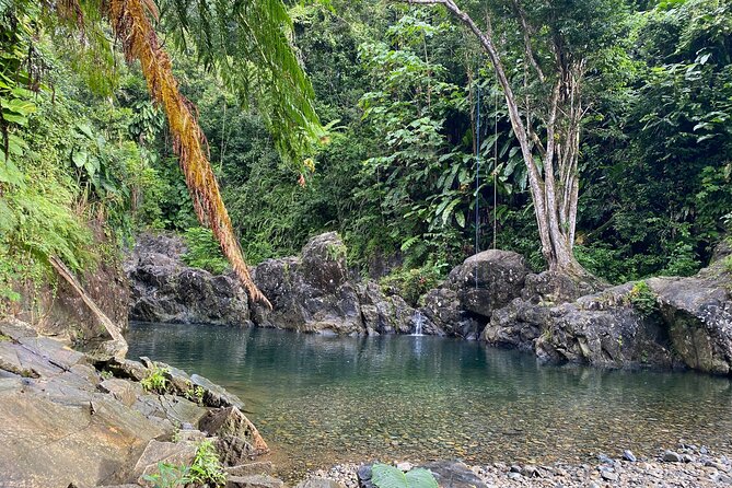 Private Full-Day Secret Hiking Tour to El Yunque Waterfalls - Hiking Adventure Through El Yunque