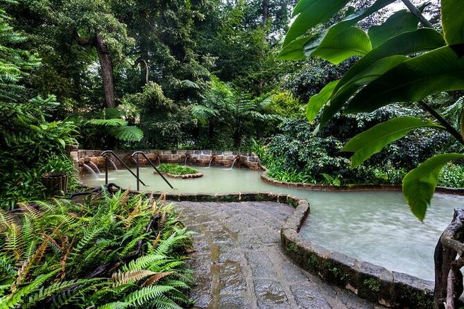 Private Guided Tour and Thermal Baths in Sao Miguel - Certified Guide and Park Entry