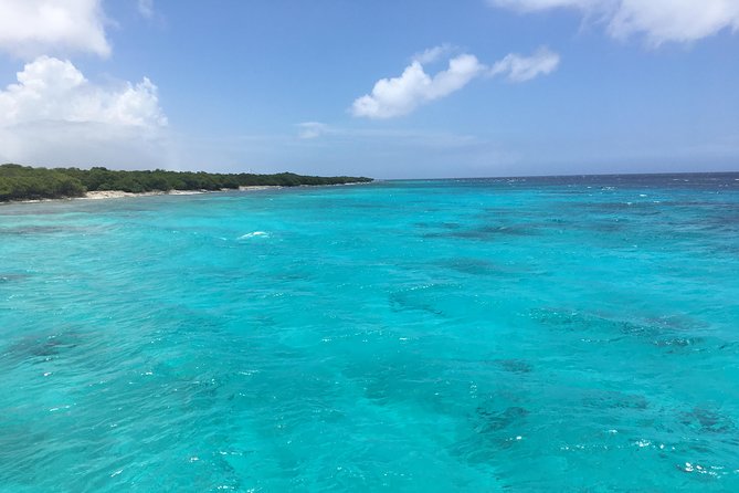 Private Hike & Snorkel to Arubas Highest Point & a Pristine Reef - Requirements