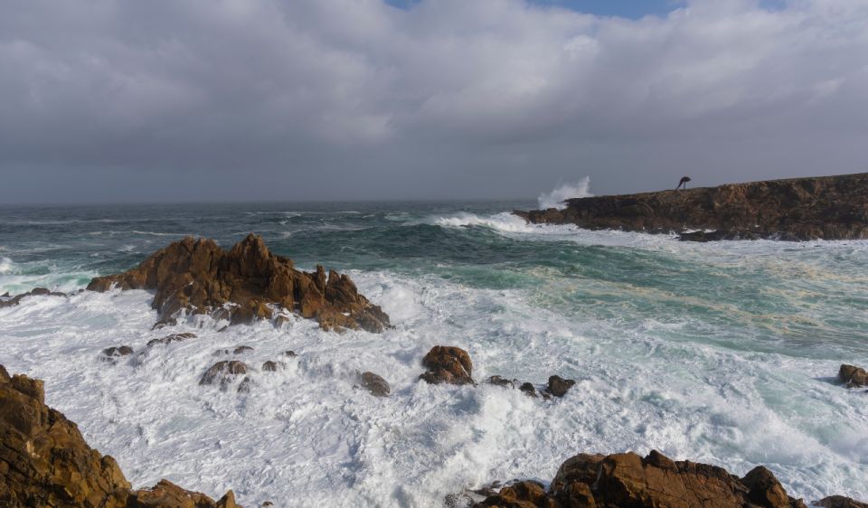 Private La Coruna Tour From Santiago De Compostela - Explore the Glass-Fronted Galleries of La Coruña