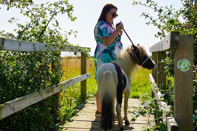 Private Miniature Horse Walking Near Lincoln - Accessibility and Confirmation