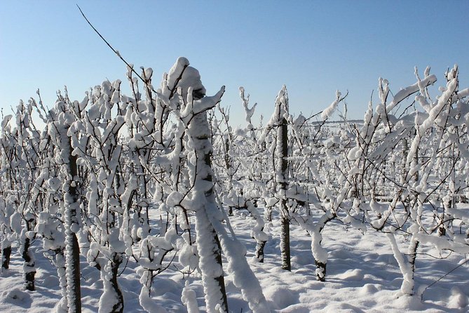 Private Niagara Ice Wine Tour - Inclusions