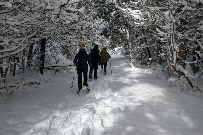 Private Nottawasaga Bluffs Caves Snowshoe Tour,Collingwd/Creemore - Cancellation Policy