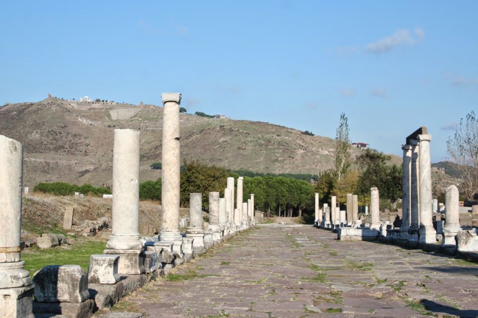 Private Pergamon Day Tour From Istanbul by Plane - Healing History of Asklepion