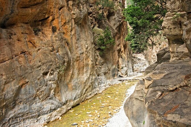 Private Roundtrip Transfer From Chania to Samaria Gorge Park - Hiking Experience