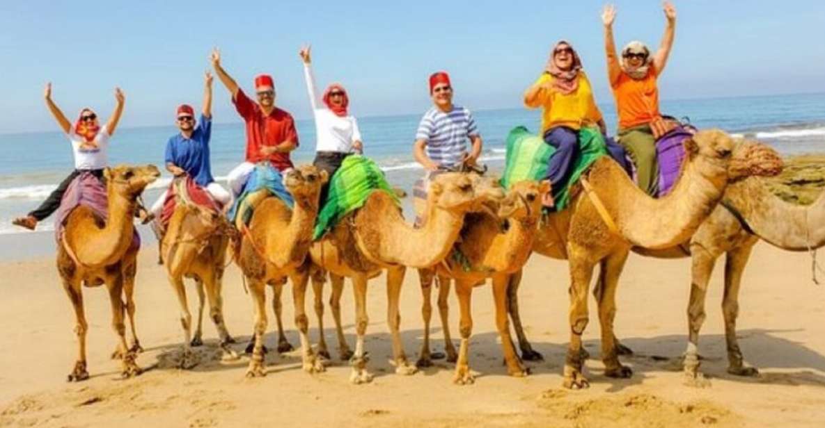 Private Tangier Tour From Estepona Including Camel & Lunch - Tangier Sightseeing Highlights