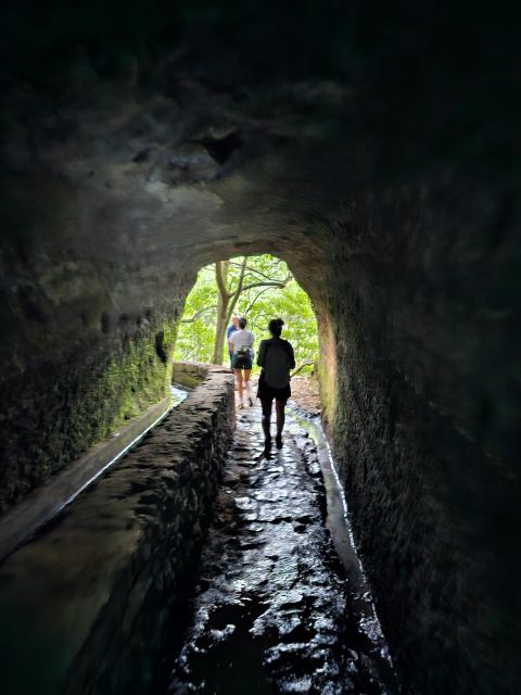 Private Tour: Caldeirao Verde Levada By Overland Madeira - Highlights of the Hike