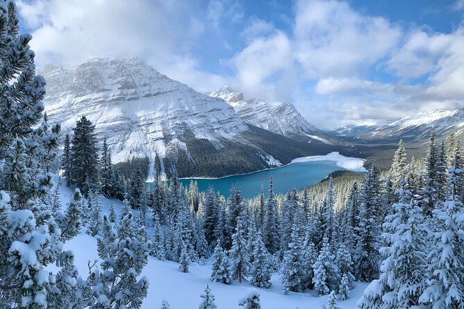 Private Tour for up to 24 Guests of Lake Louise and the Icefield Parkway - Highlights of the Experience