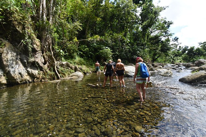 Private Tour of El Yunque Rainforest From San Juan - Health and Safety Requirements