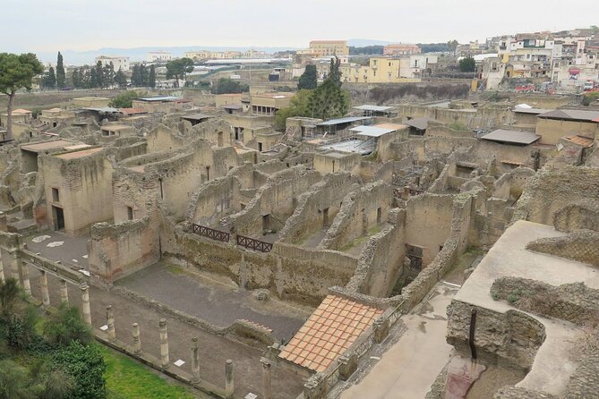 Private Tour of Pompeii, Herculaneum and Vesuvius From Naples - Climbing Mount Vesuvius Volcanic Cone