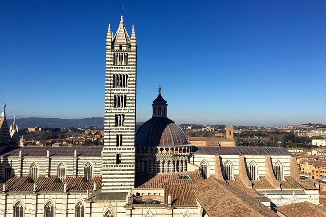 Private Tour of Siena Cathedral - Meeting Location and Accessibility