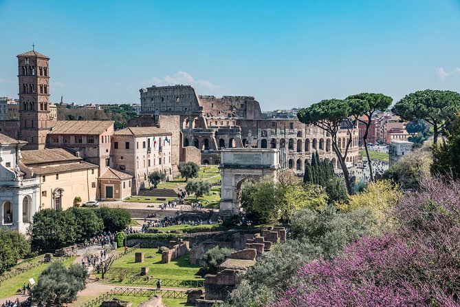 Private Tour of the Colosseum With Roman Forum & Palatine Hill - Ascending the Palatine Hill