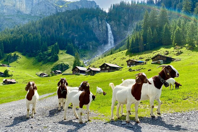 Private Tour to the Most Breathtaking Insider Spots in Switzerland (1 Day) - Personalized Experience Away From Crowds