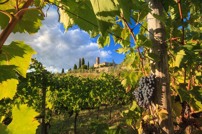 Private Tuscany Tour From Florence Including Siena, San Gimignano and Chianti Wine Region - Exploring Historical Siena