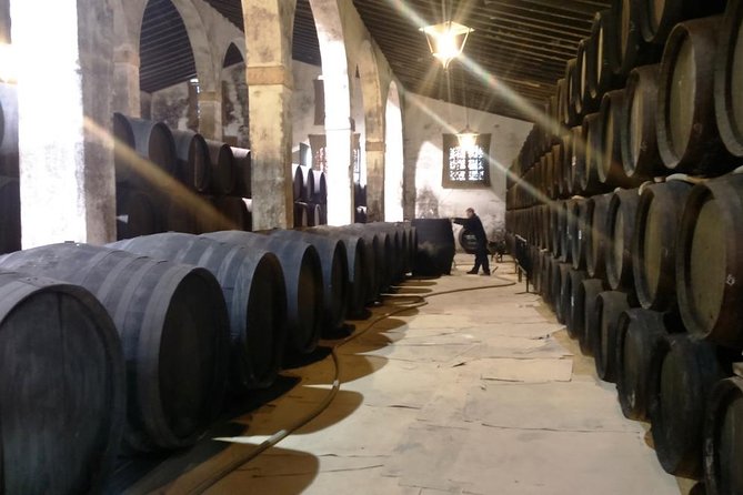 Private Wine Tour to Jerez De La Frontera - Winery Visits