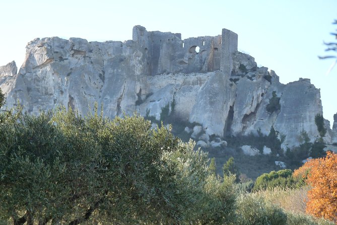 Provence in a Day Trip From Aix - Avignons Papal Heritage