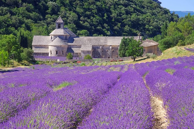 Provence Lavender Full Day Tour From Avignon - Explore the Charming Village of Gordes