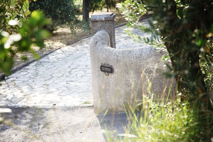 Provence Olive Harvest - Organic Olive Picking Experience