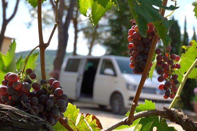 Provence Wine Small Group Day Tour From Nice With Tastings & Lunch - Included Experiences