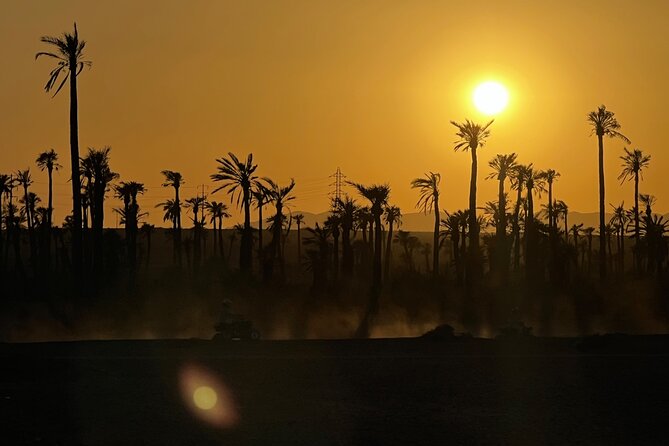 Quad and Camel Ride in La Palmeraie of Marrakech - Accessibility and Policies