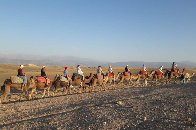 Quad Biking & Camel Ride Agafay Desert With Lunch or Dinner - Included Activities