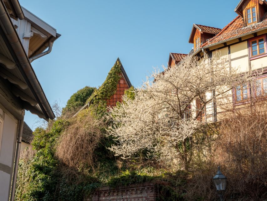 Quedlinburg: Guided City Highlights Walking Tour - UNESCO World Heritage Site