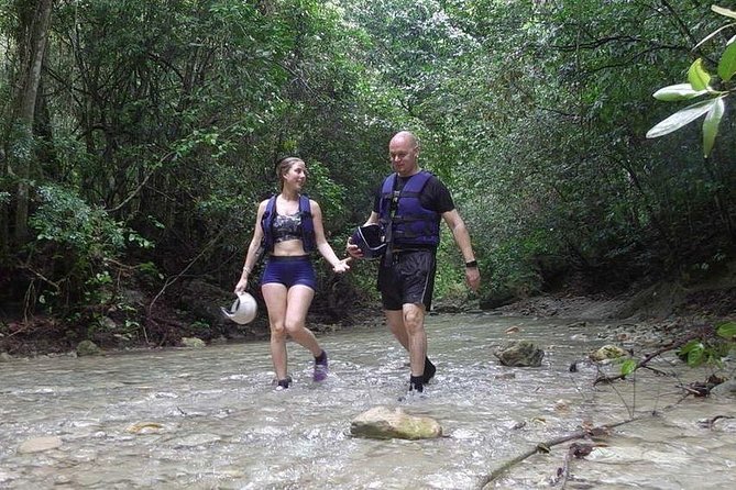 Rainforest Trek to Natural Pool - Taino Bay & Amber Cove Ports - Native Wildlife and Tropical Plants