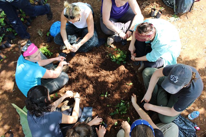 Rau Forest Nature Walk (One Trip - One Tree) - Pickup and Transportation Details