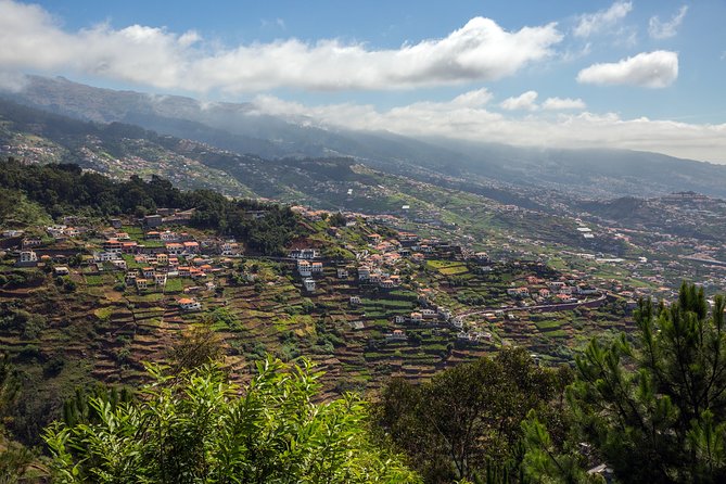 Real Life, Mountains & Sea Cliffs (Nun´s Valley View) - Half Day 4x4 Tour - Exploring Camara De Lobos Fishing Village