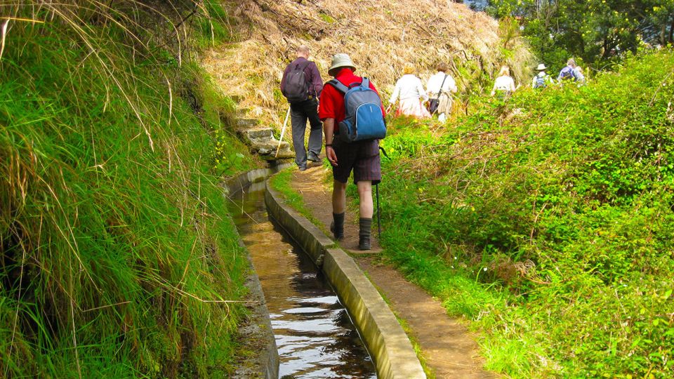 Referta / Castelejo - Levada Walk - Highlights of the Experience