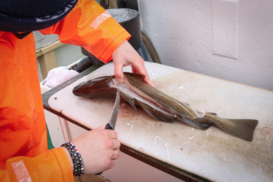 Reykjavik: 3-Hour Sea Angling Gourmet Experience Tour - Fishing Amenities