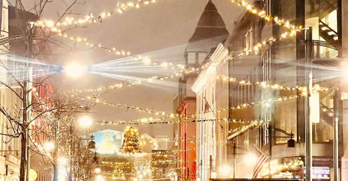 Reykjavik Christmas Walking Tour - Itinerary Highlights