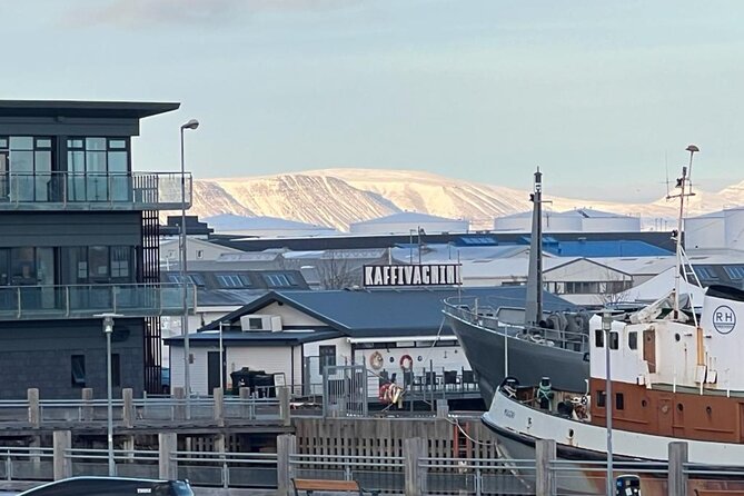 Reykjavik Food Tour - Old Harbor Walking Tour - Meeting and Ending Points