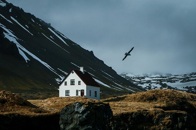 Reykjavik: Snaefellsnes National Park Small Group Trip - Highlights of the Tour