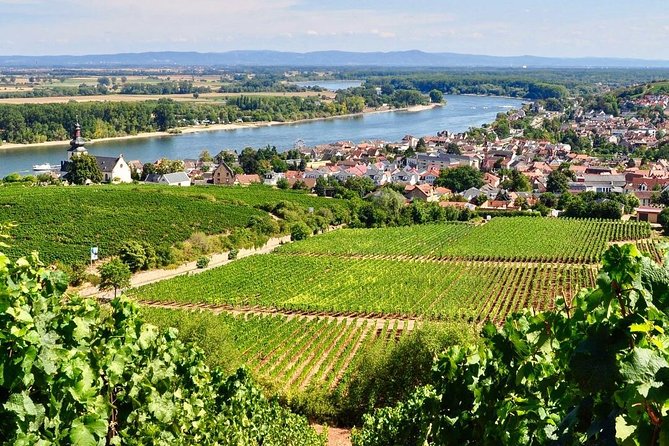 Rhine Valley Wine Tasting Tour From Frankfurt and Mainz - Visit 3 Wineries