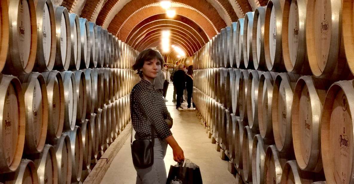 Ribera Del Duero Wine Region Private Tour - Winemaking Process Insights