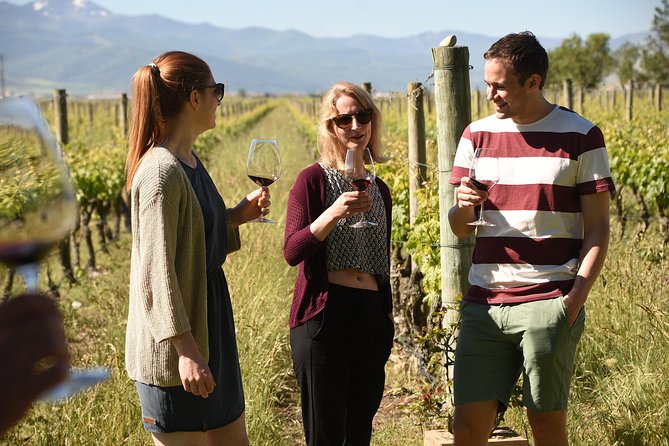 Rioja Alta and Rioja Alavesa Wine Tour - Included Experiences